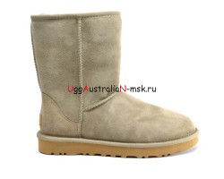 UGG CLASSIC SHORT II ANTILOPE