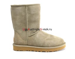 UGG CLASSIC SHORT II ANTILOPE