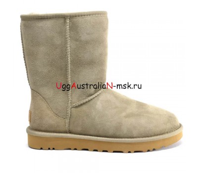 UGG CLASSIC SHORT II ANTILOPE
