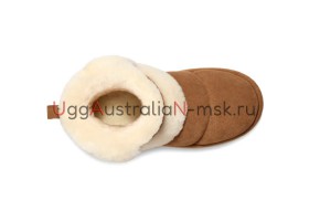 CLASSIC CHILLAPEAK CHESTNUT