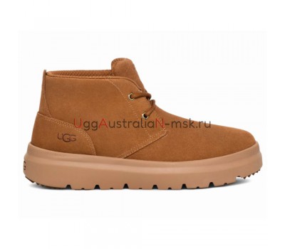 UGG MENS  BURLEIGH CHUKKA TRAINER CHESTNUT