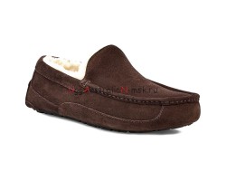 UGG MENS ASCOT CHOCOLATE