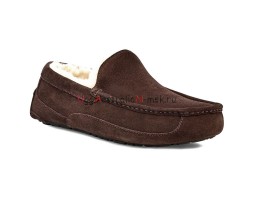 UGG MENS ASCOT CHOCOLATE