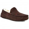 UGG MENS ASCOT CHOCOLATE