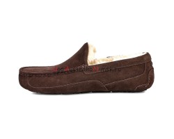 UGG MENS ASCOT CHOCOLATE