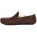 UGG MENS ASCOT CHOCOLATE