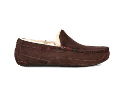 UGG MENS ASCOT CHOCOLATE