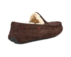 UGG MENS ASCOT CHOCOLATE