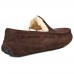 UGG MENS ASCOT CHOCOLATE