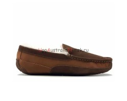 UGG MENS ASCOT GOGNAC