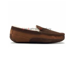 UGG MENS ASCOT GOGNAC