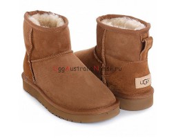 UGG MENS CLASSIC MINI CHESTNUT ( BIG SIZE)