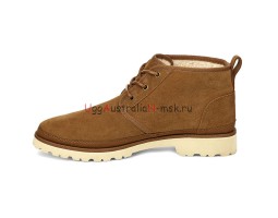  UGG NEULAND CHESTNUT