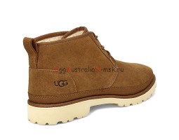  UGG NEULAND CHESTNUT