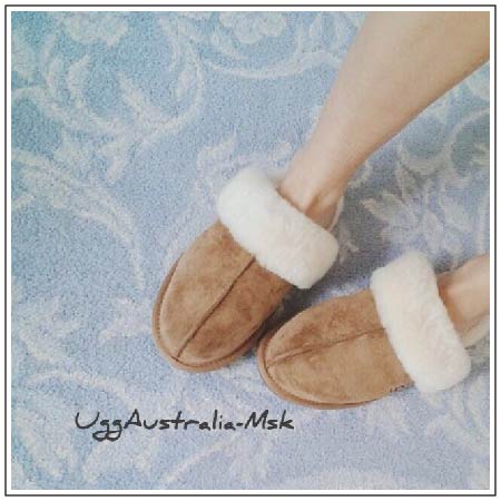 Тапочки UGG